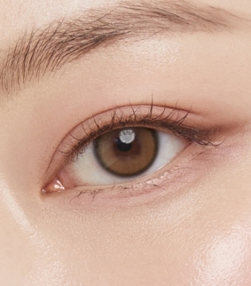 Real Ring Brown Toric (For astigmatism)